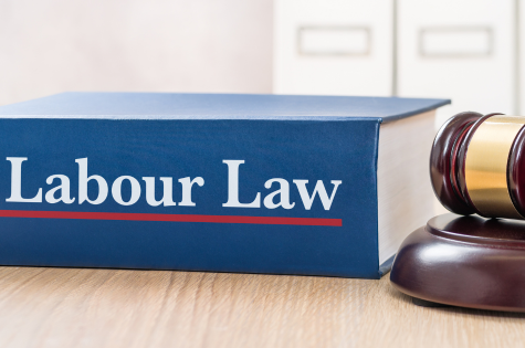 Labour Laws Licensing